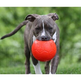 Foto 3 | Foto 3 | Pelota De Fútbol Jolly Pets Naranja Grande Flotante Para Perro
