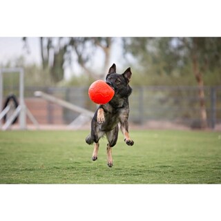 Foto 7 | Foto 7 | Pelota De Fútbol Jolly Pets Naranja Grande Flotante Para Perro