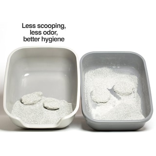 Foto 7 | Foto 7 | Caja De Arena Para Gatos Petfusion Grande Revestimiento Antiadherente Higiene Superior Plástico Abs