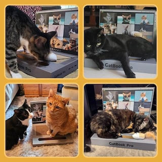 Foto 2 | Foto 2 | Rascador Portátil Youxifun Gris Con Bola De Jingle Para Gatos