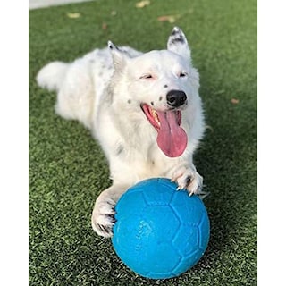 Foto 4 | Foto 4 | Pelota De Fútbol Grande Jolly Pets Azul Océano Flotante Para Perro