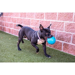 Foto 7 | Foto 7 | Pelota De Fútbol Grande Jolly Pets Azul Océano Flotante Para Perro