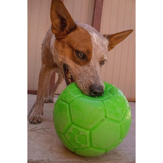 Foto 3 | Foto 3 | Juguete Flotante Pelota De Fútbol Jolly Pets Verde Manzana Para Perro