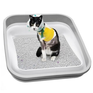 Foto 1 | Foto 1 | Caja De Arena Maohegou Para Gatos Mayores Artríticos En Azul
