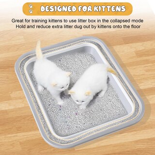 Foto 6 | Foto 6 | Caja De Arena Maohegou Para Gatos Mayores Artríticos En Azul