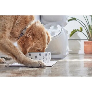 Foto 4 | Foto 4 | Cuenco Para Mascotas Pearhead Gris Blanco De Cerámica Grande