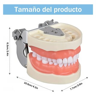 Foto 3 | Foto 3 | Encía Suave 32 Dientes Multicolor