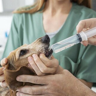 Foto 6 | Foto 6 | Venta De Jeringa Desechable Mayoreo Fullmedix Mxsir-004 4 Piezas Transparente