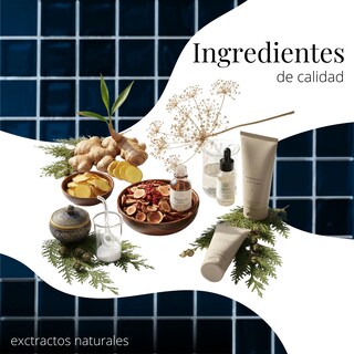 Foto 8 | Foto 8 | Shampoo Con Tinte Dermafol Para Cubrir Canas 500ml