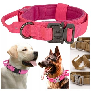 Foto 3 | Foto 3 | Collar Eo Safe Imports Rosa para Perro