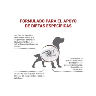 Foto 3 | Foto 3 | Royal Canin Gastro-intestinal 10 Kg Original Sellado + Pelota Spiny Caucho