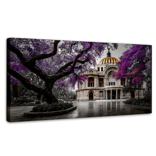 Foto 1 | Foto 1 | Cuadro Decorativo México Canvas Bellas Artes Vibra 120x60