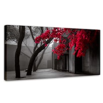 Cuadro Decorativo México Canvas La Condesa Luz Viva 120x60