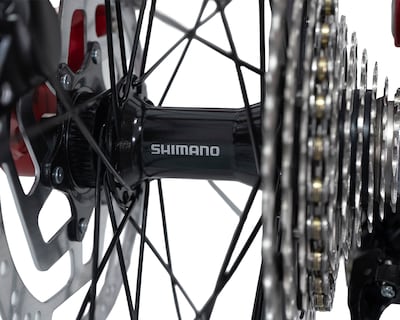 Foto 8 | Foto 8 | Bicicleta Belfort Balam Sl B2 R29 T15 Rojo Plata