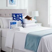 Set 2 Almohadas Cozy + Protector Essence Matrimonial + Oso De Peluche Spring Air