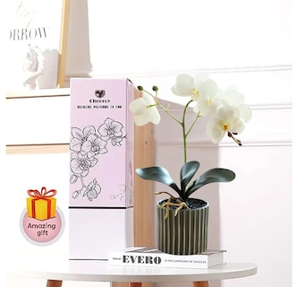 Foto 4 | Foto 4 | Arreglo Orquídeas Artificiales Decoración Eo Safe Imports Esi-24142 Blanco