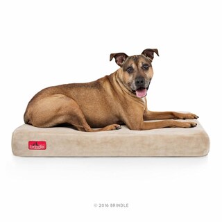 Foto 1 | Foto 1 | Cama Para Perro Brindle Caqui De Memory Foam Ortopédica Tamaño Grande