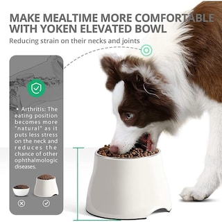 Foto 3 | Foto 3 | Cuencos Elevados Yoken Coloridos Acero Inoxidable Para Perros Medianos