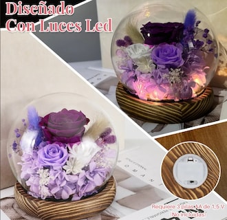 Foto 2 | Foto 2 | Caja De Regalo Xtellar Rosas Preservadas Led Con Collar “i Love You” Morado