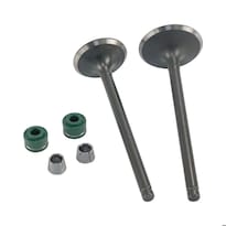 Válvula Admisión/escape Set Italika Dm 300