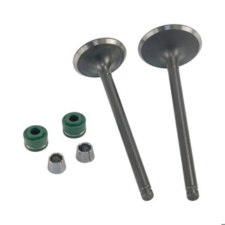 Foto 1 | Foto 1 | Válvula Admisión/escape Set Italika Dm 300