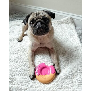 Foto 7 | Foto 7 | Juguete Para Perros Nylabone Sabor Esmaltado Masticables Para Masticadores Agresivos