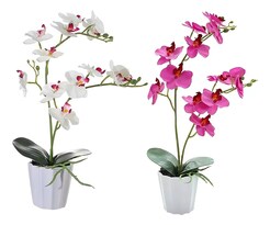 Arreglo Orquideas Artificiales Xtellar