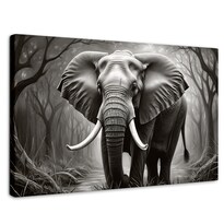 Cuadro Decorativo Canvas Colmillos De Bosque 90x60
