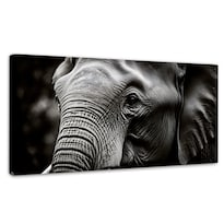 Cuadro Decorativo Canvas Elefante Sombra 120x60