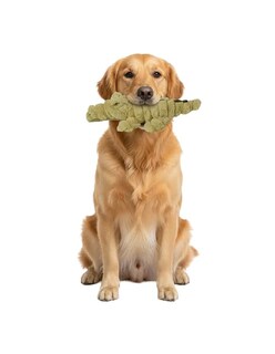 Foto 5 | Foto 5 | Peluche Para Perro Masticable Cocodrilo