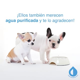 Foto 8 | Foto 8 | Purificador De Agua Pura Filtro Cocina Sobremesada+ 2 Repuesto