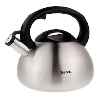 Hervidor De Acero Inoxidable T-fal 2.5 L Silbante C7921024