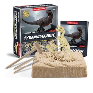 Foto 4 | Foto 4 | Set Excavación T Rex Fosiles Dinosaurio Juguete Paleontologo
