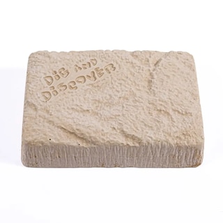 Foto 5 | Foto 5 | Set Excavación T Rex Fosiles Dinosaurio Juguete Paleontologo