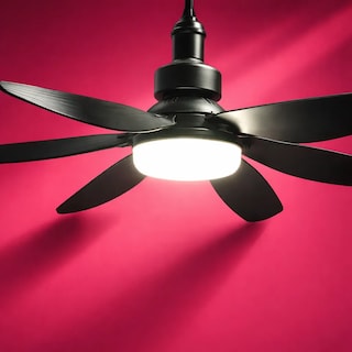 Foto 4 | Foto 4 | Ventilador Foco Led 6 Aspas E27 Con Control Remoto Cityluz 12.5 Cm Negro