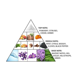 Foto 2 | Foto 2 | Perfume Al Haramain Vintage Silver 100 Ml Extrait De Parfum Con Notas Cítricas Y Menta