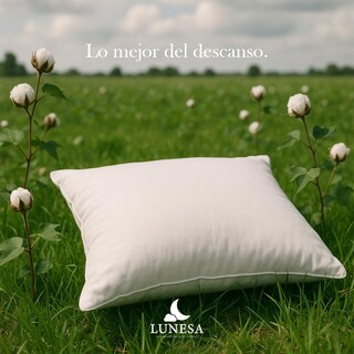 Foto 5 | Foto 5 | Almohada King Size Lunesa Memory Foam 8 Piezas