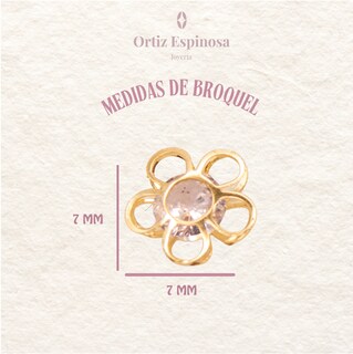 Foto 2 | Foto 2 | Broquel Flor 3d Brillante De Oro 10 Kt Con Zirconia
