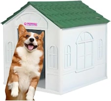 Casa Para Perro Q Perrón Raza Chica Resistente A La Exterior Color Verde