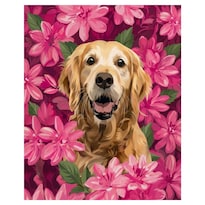 Cuadro Decorativo Impreso 60x80cm Golden Retriever