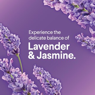 Foto 3 | Foto 3 | Recambios Para Varillas De Inodoro Clorox Scentiva Lavender/jasmine  10 Unidades - Venta Internacional.