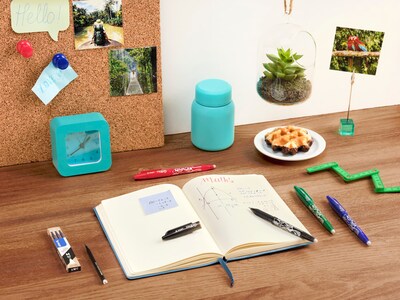 Foto 3 | Foto 3 | Bolígrafo Pilot Frixion  Borrable Por Calor Y Fricción  Rollerball Fr7 - Venta Internacional.