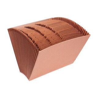 Foto 1 | Foto 1 | Archivo Expandible Staples Letha-tone, Índice 1-31, Tamaño Carta, Marrón - Venta Internacional.