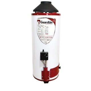 Foto 1 | Foto 1 | Boiler de Paso Guardián GA-ARC-09TGN-SOP-01 de Gas Natural 7.8L 2.5 Servicios