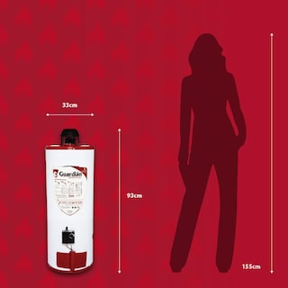 Foto 7 | Foto 7 | Boiler de Depósito Guardián GA-DEP-060LP-01 de Gas LP 60L 2.5 Servicios