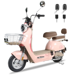 Foto 1 | Foto 1 | Motobici Eléctrica Honey Whale Una Rosa