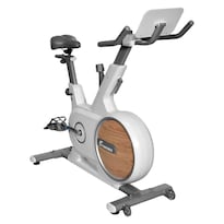 Bicicleta Spinning Magnetica Estatica Disco De Resistencia Centurfit