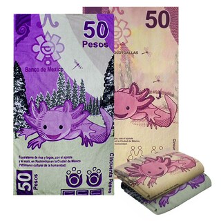Foto 1 | Foto 1 | Set 2 Toallas de Baño NubiSuave Billete Mexicano Ajolote