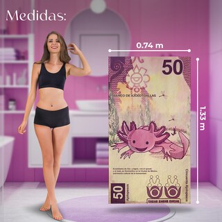 Foto 2 | Foto 2 | Set 2 Toallas de Baño NubiSuave Billete Mexicano Ajolote
