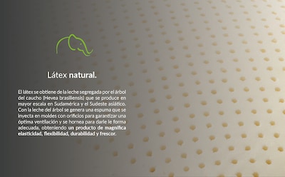 Foto 4 | Foto 4 | Paquete De 2 Almohadas Tamaño Estándar De Látex Natural Con Funda De Bambú Lavable - Lester Organic Látex